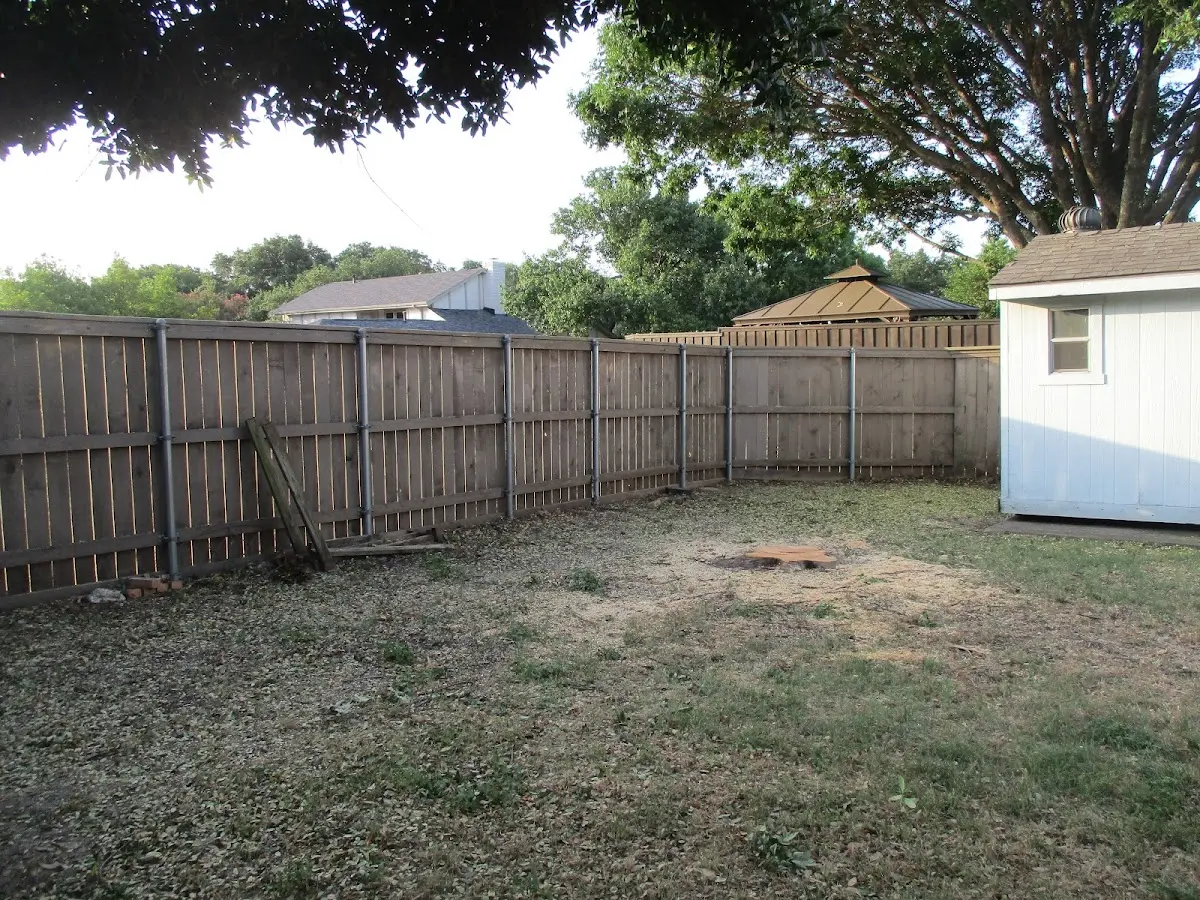 Cleared yard after professional tree removal in Nicoma Park
